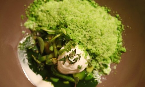 La mucca al pascolo di Massimo Bottura (foto di Monica Assari)